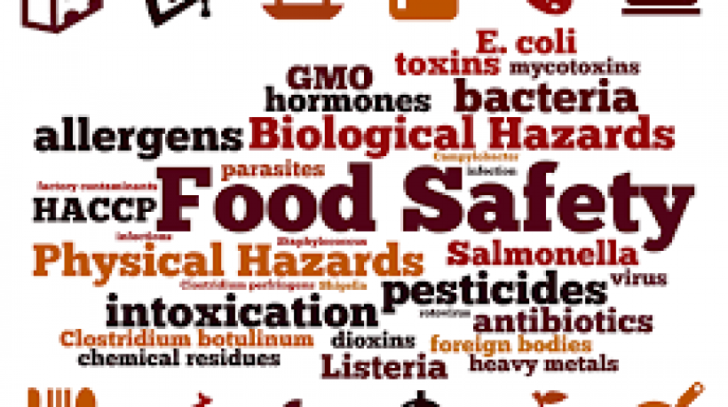 How Security Seals Enhance Food Safety