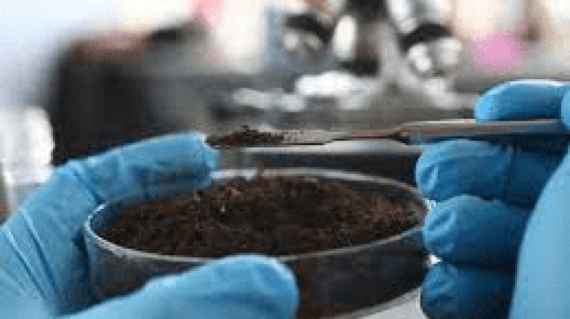How To Tell If Soil Is Contaminated