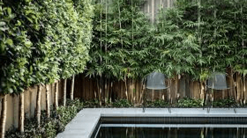 How to Make Your Property More Private