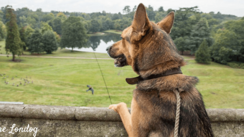 Promoting the significant and geographically important areas of the County of Surrey