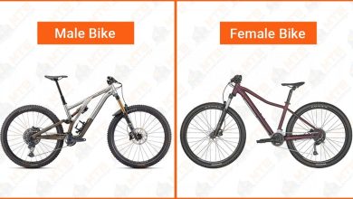 Difference between Men's And Women's Mountain Bike