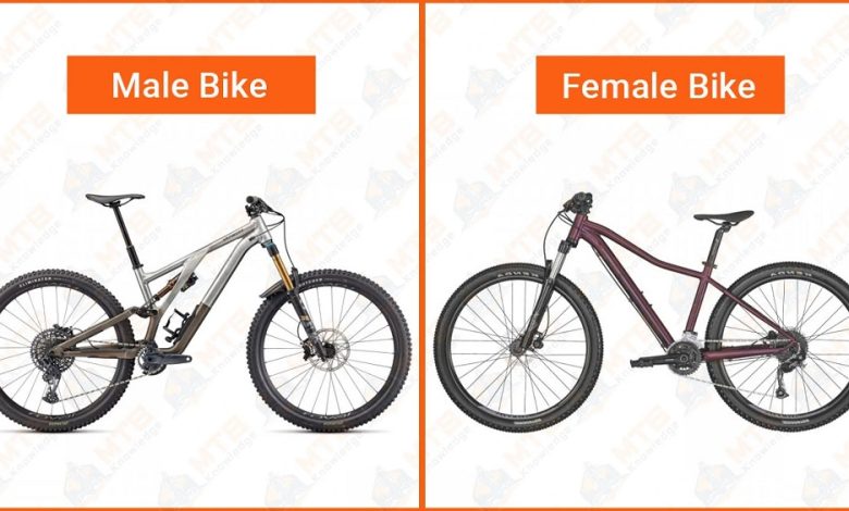 Difference between Men's And Women's Mountain Bike