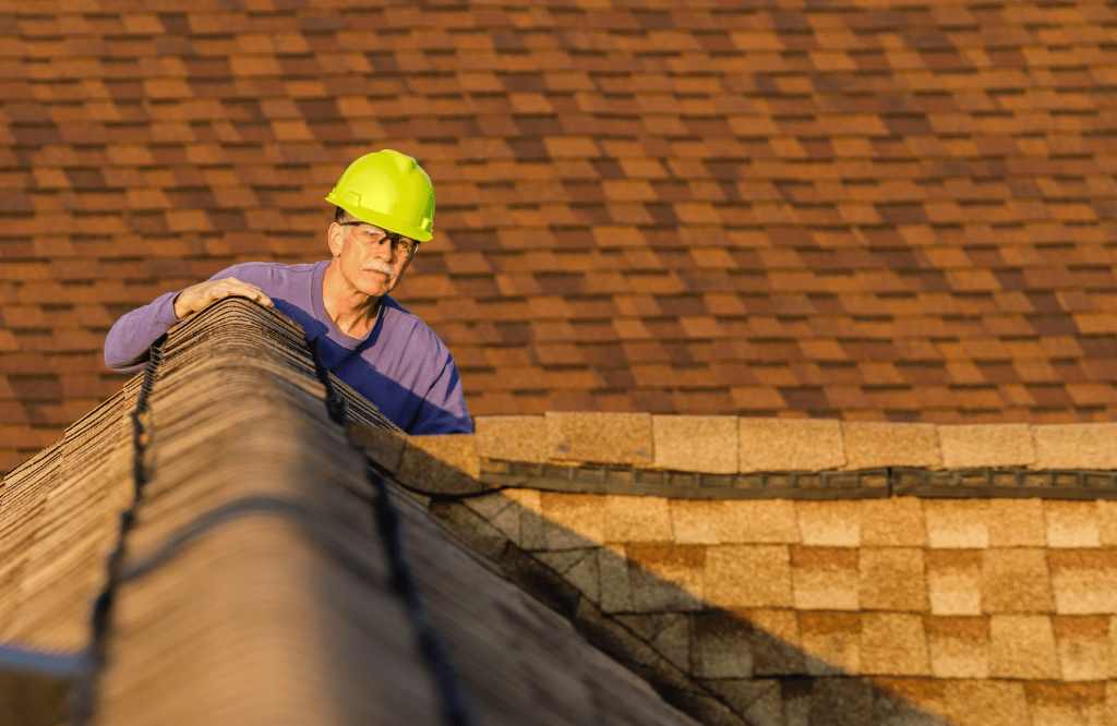 What is the overall goal of the roof inspection