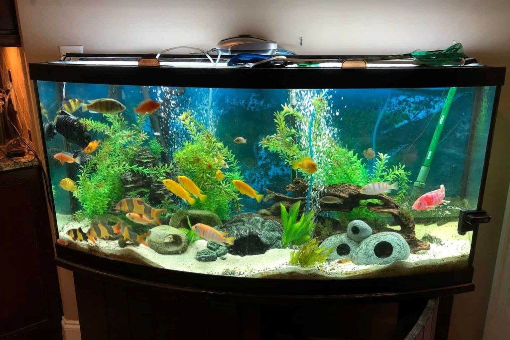 Aquarium Natural Filters