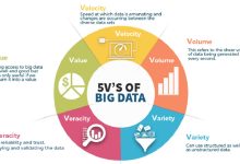 What are the 5 V's of big data in healthcare