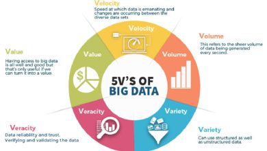 What are the 5 V's of big data in healthcare