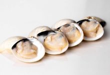 Can you eat frozen raw clams