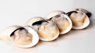 Can you eat frozen raw clams