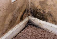 Why Basement Moisture Control Matters