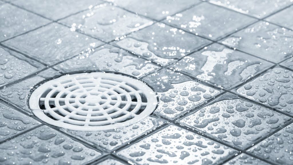 Effective Habits for Preventing Drain Issues