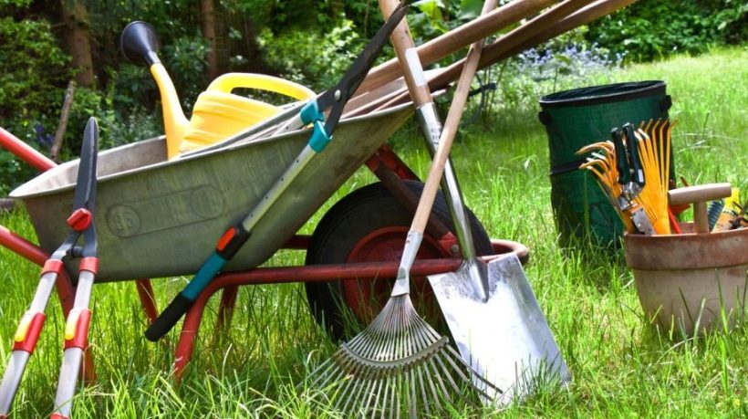 Chicago Lawn Equipment Essentials: Trimmers, Spreaders & More