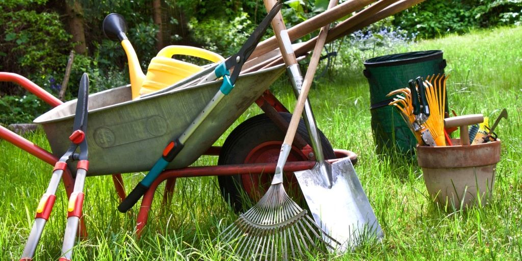 Chicago Spring Lawn Care Essentials