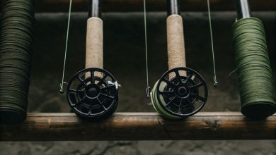 Choose the Right Fishing Line for Beginning Bass Anglers