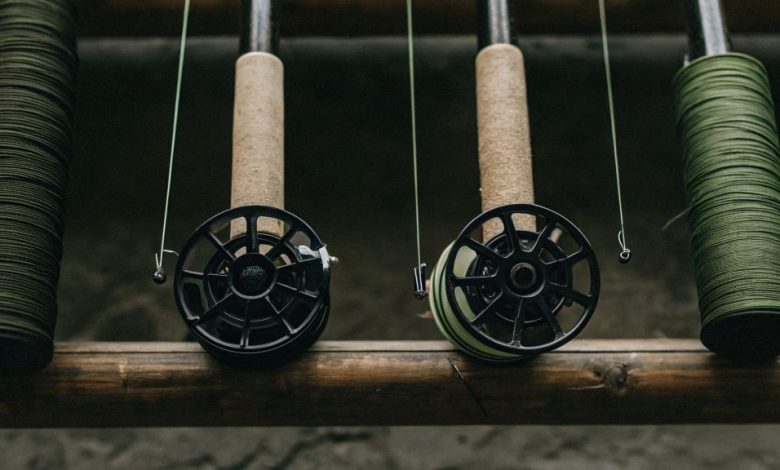 Choose the Right Fishing Line for Beginning Bass Anglers