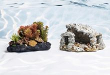 Live rock vs artificial decor comparison guide saltwater