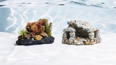 Live rock vs artificial decor comparison guide saltwater