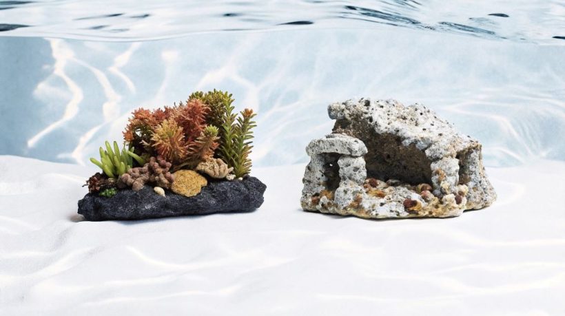 Live Rock vs Artificial Decor: What’s Best for Your Reef Tank?