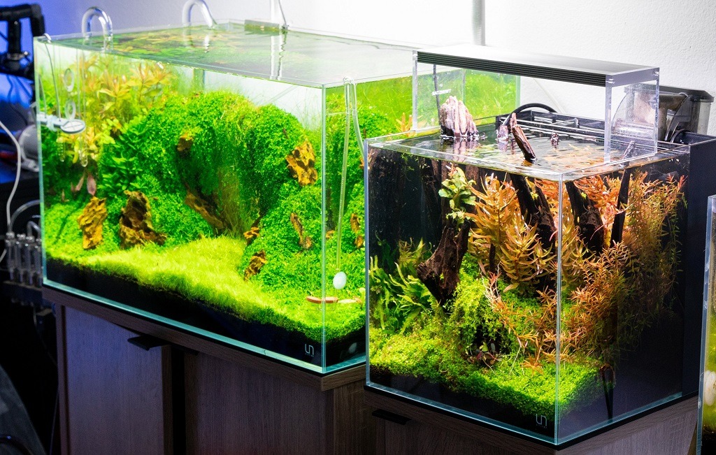 What do I need for a small aquarium