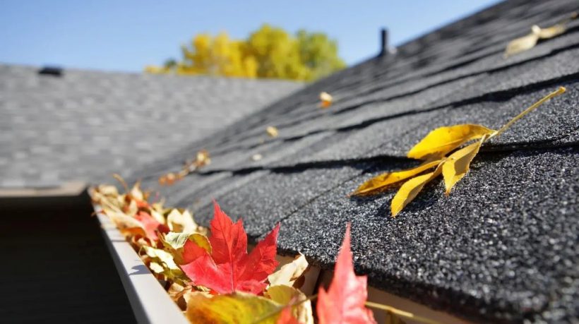 Gutter Maintenance Tips Every Homeowner Should Know