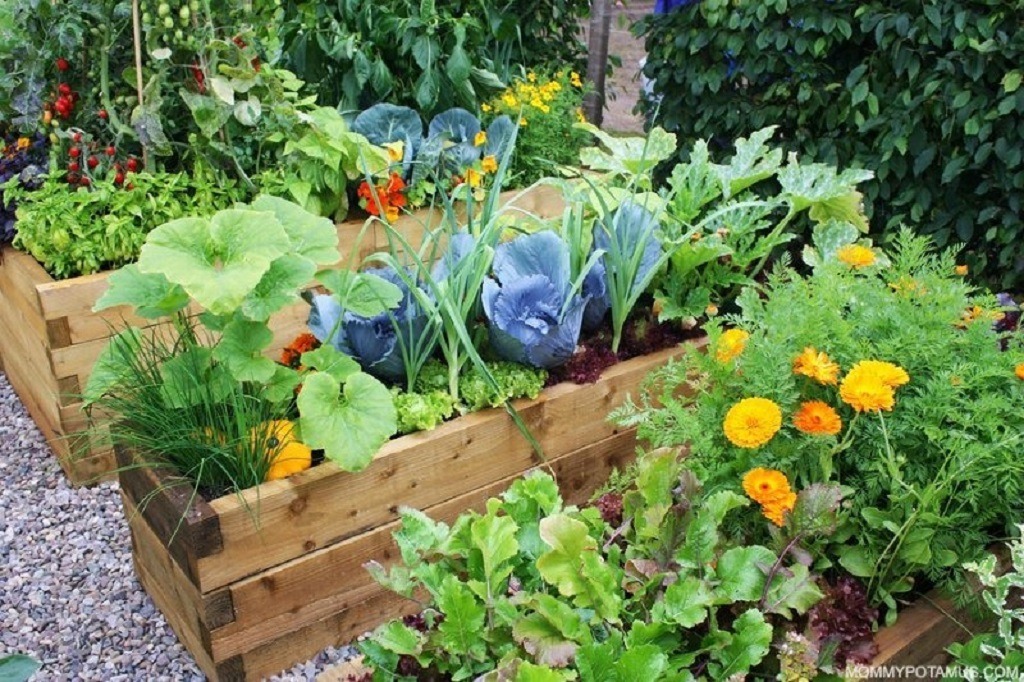 Can I use regular garden soil in containers