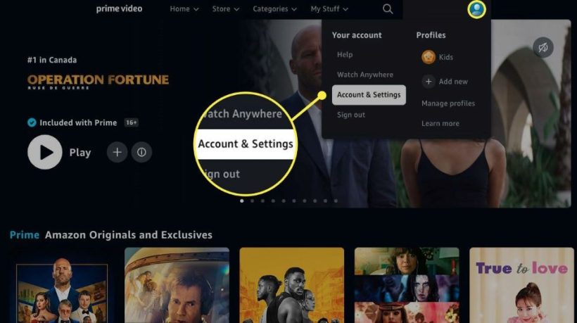 How to Cancel Paramount Plus Free Trial if Account Hacked