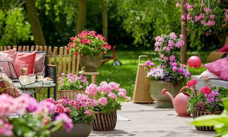 How to Care for Callisia repens Turtle Vine Pink Lady