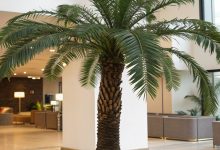 Guide to Choosing the Right Artificial Trees for Your Space