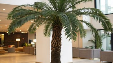 Guide to Choosing the Right Artificial Trees for Your Space