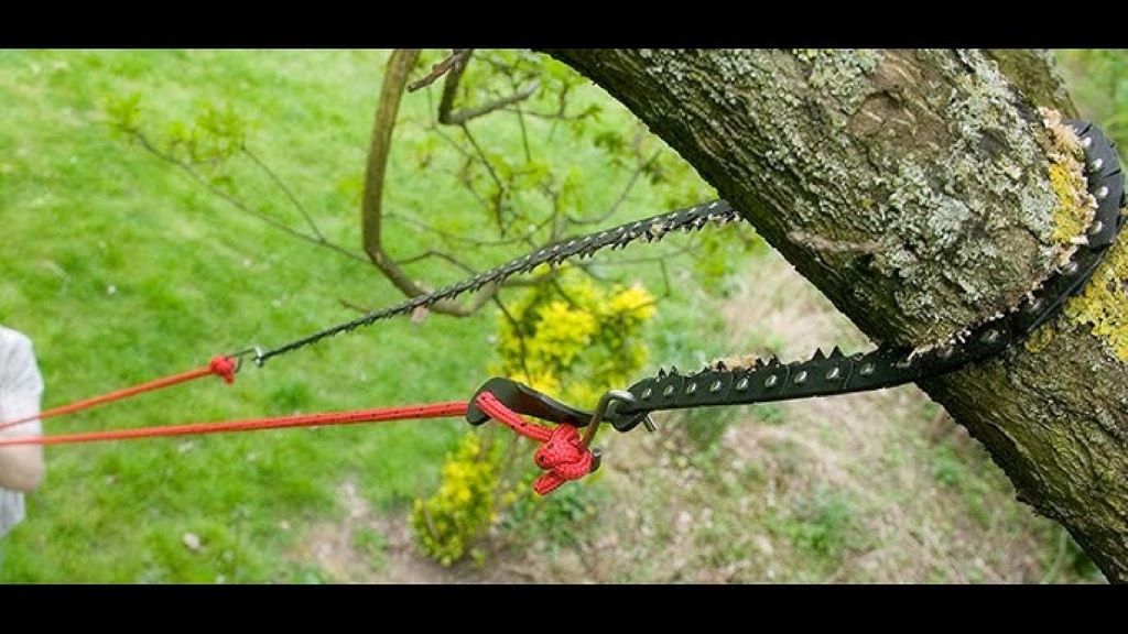 Close-up of a rope chain saw in action, demonstrating cutting through a thick tree branch for outdoor enthusiasts and homeowners