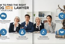 Dog bite injury evidence and medical records