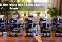 reef tank starter kit with LED lighting and filtration system