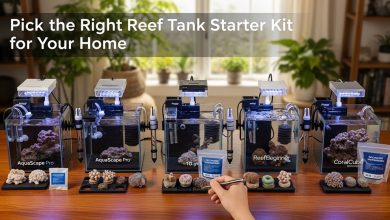 reef tank starter kit with LED lighting and filtration system