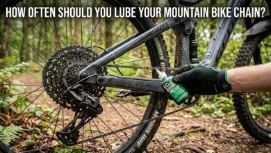 Applying liquid lubricant to a clean mountain bike chain on a trail.