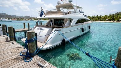 Yacht secured with blue nylon dock lines to a wooden dock.