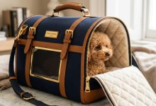 A chic luxury pet carrier sitting on a modern floor in Washington.