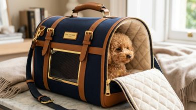 A chic luxury pet carrier sitting on a modern floor in Washington.